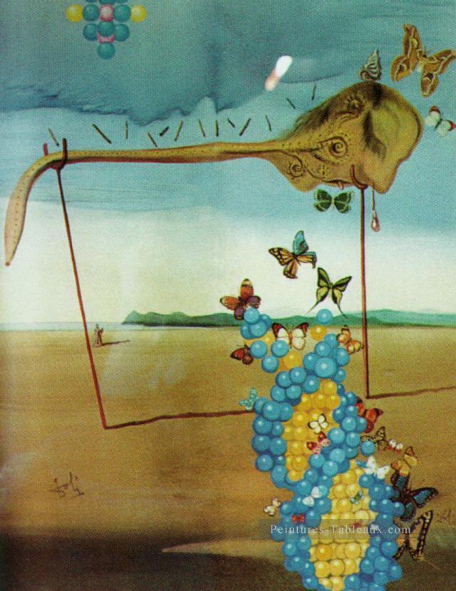 Butterfly Landscape The Great Masturbator in a Surrealist Landscape with DNA Salvador Dali Oil Paintings